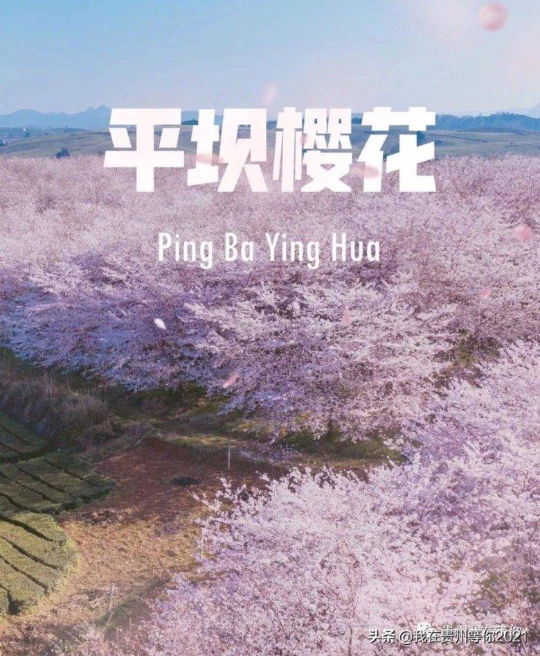 战舰世界闪击战
